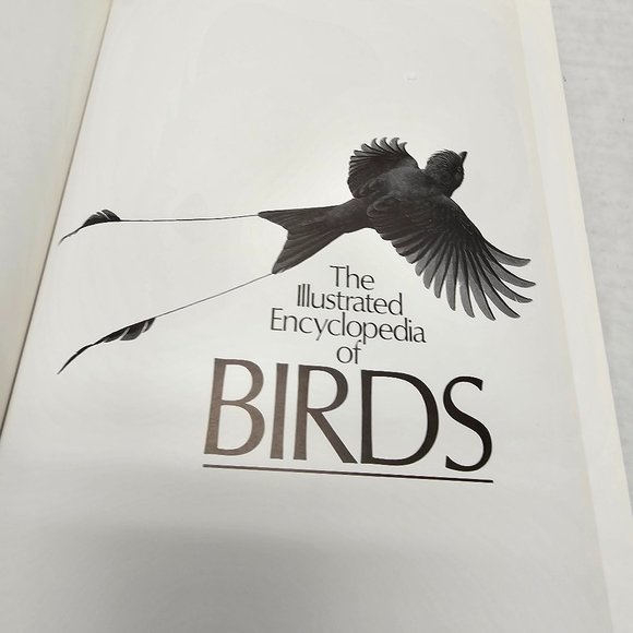 The Illustrated Encyclopedia BIRDS World DR Christopher Perrins History Book 90s - Picture 16 of 16